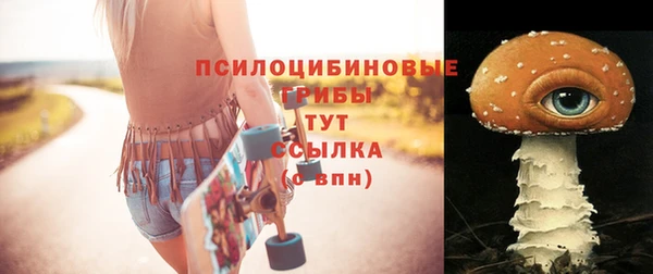 гашик Арсеньев