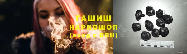 гашик Арсеньев