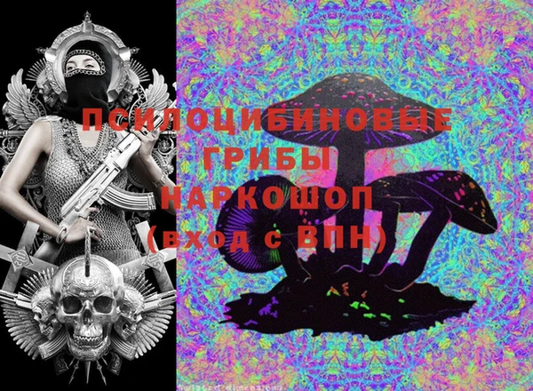 гашик Арсеньев